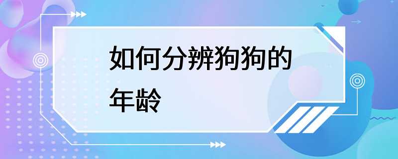 如何分辨狗狗的年龄