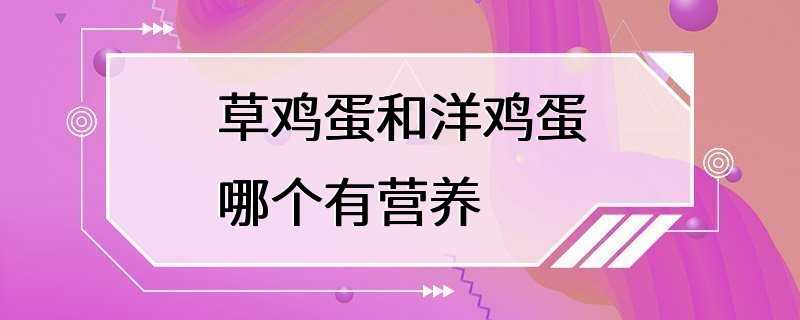 草鸡蛋和洋鸡蛋哪个有营养