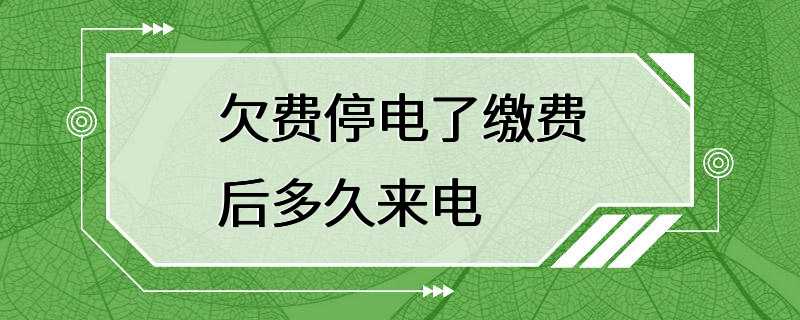 欠费停电了缴费后多久来电