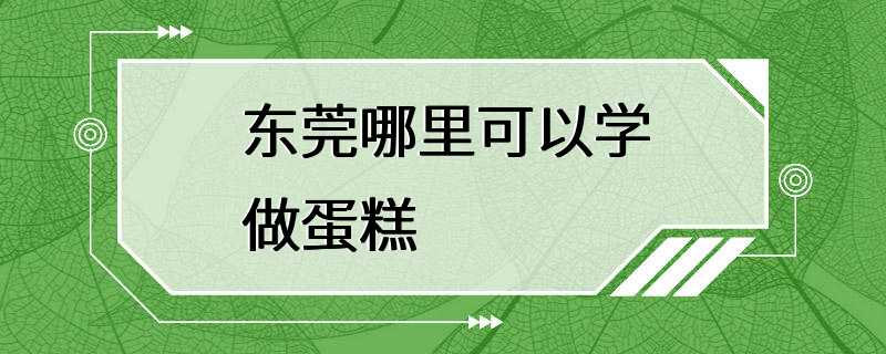 东莞哪里可以学做蛋糕