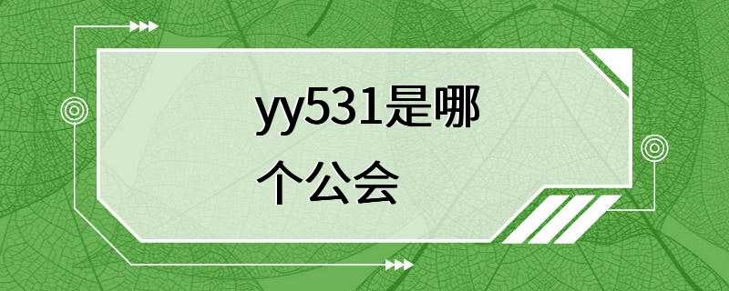 yy531是哪个公会