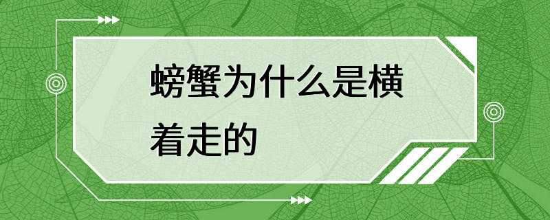 螃蟹为什么是横着走的