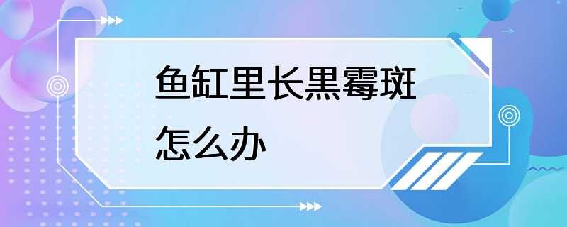 鱼缸里长黒霉斑怎么办