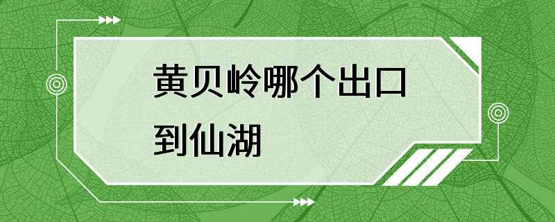 黄贝岭哪个出口到仙湖