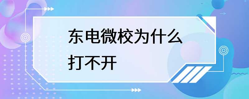 东电微校为什么打不开