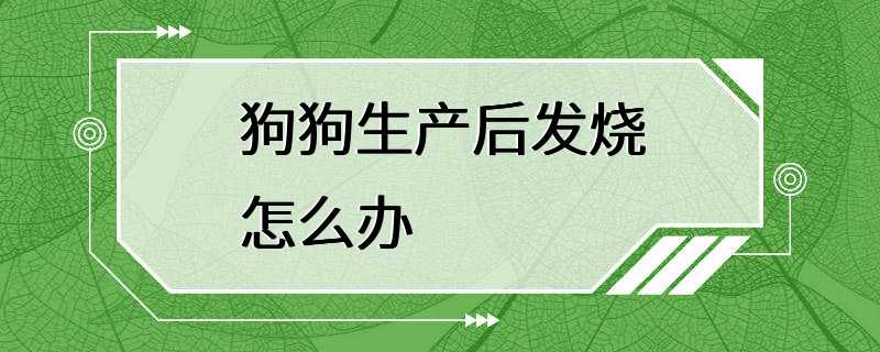 狗狗生产后发烧怎么办