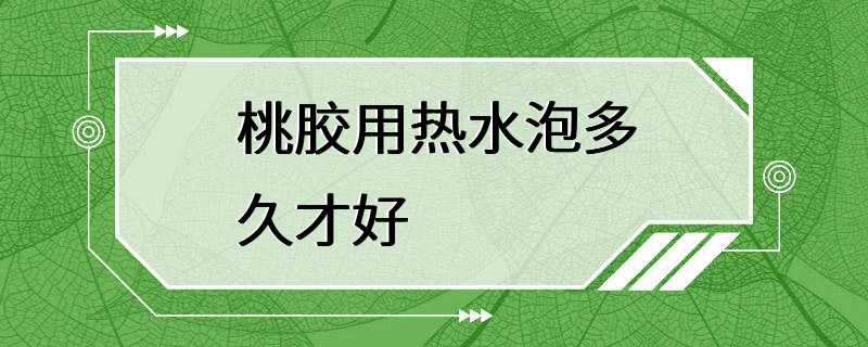 桃胶用热水泡多久才好