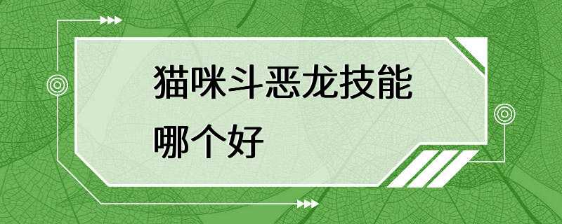 猫咪斗恶龙技能哪个好