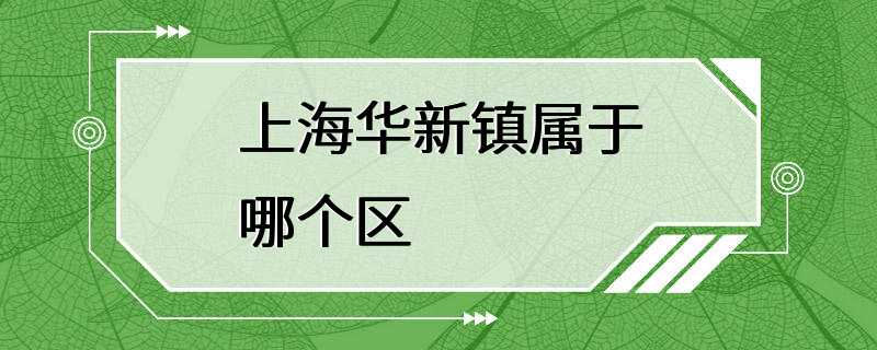 上海华新镇属于哪个区