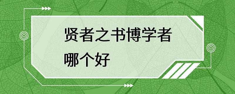 贤者之书博学者哪个好