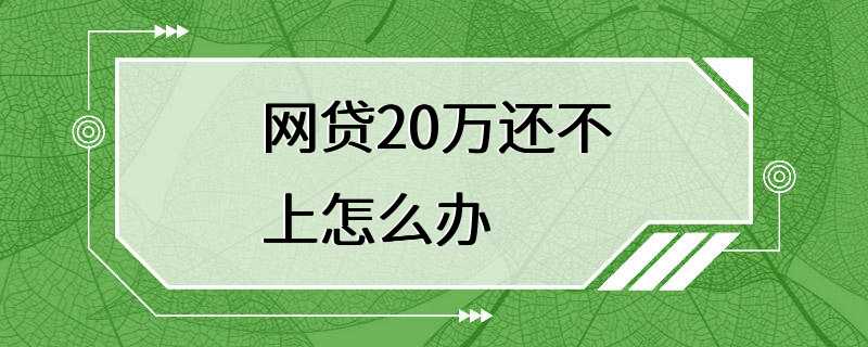 网贷20万还不上怎么办