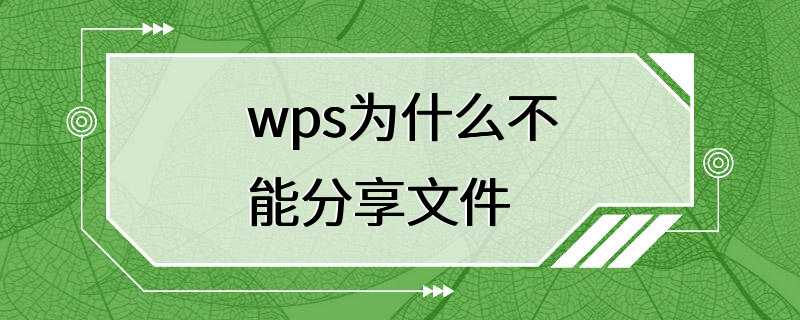 wps为什么不能分享文件