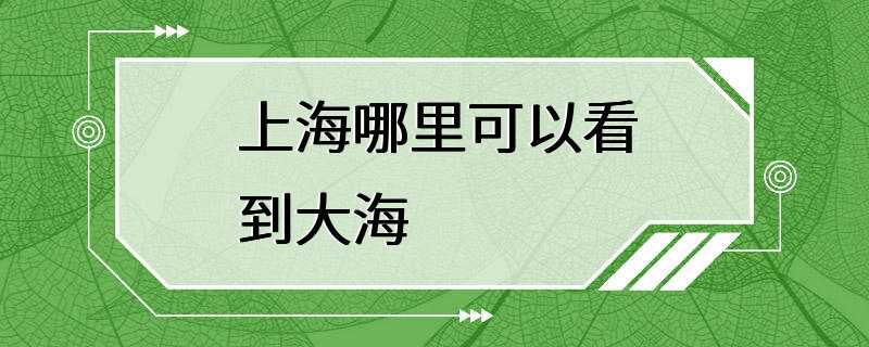 上海哪里可以看到大海