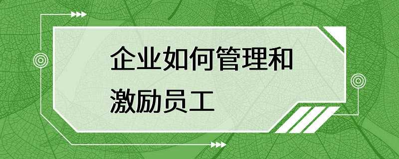 企业如何管理和激励员工