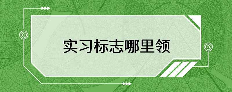 实习标志哪里领