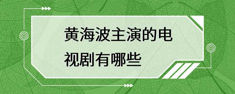 黄海波主演的电视剧有哪些