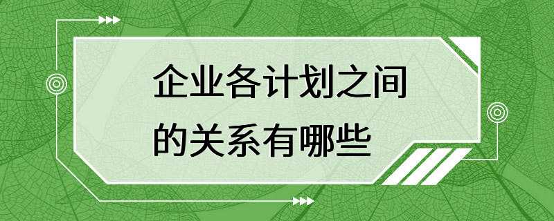 企业各计划之间的关系有哪些