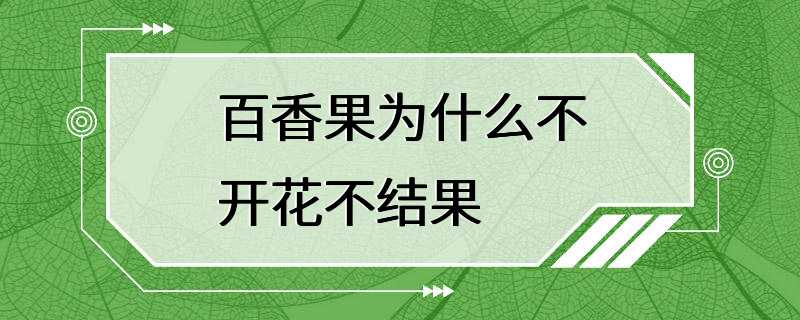 百香果为什么不开花不结果