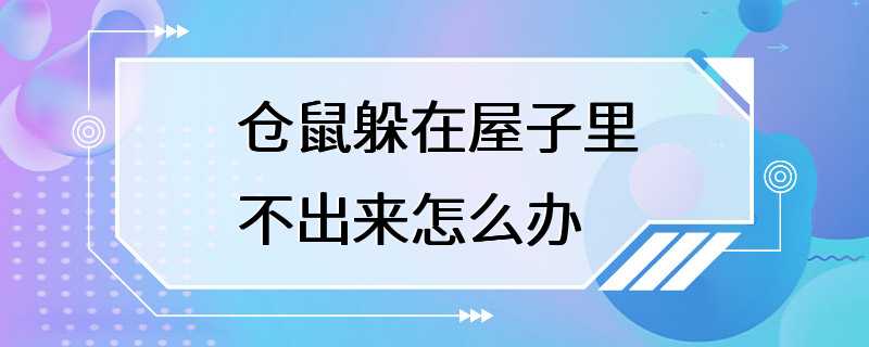 仓鼠躲在屋子里不出来怎么办