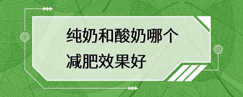 纯奶和酸奶哪个减肥效果好