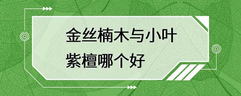 金丝楠木与小叶紫檀哪个好