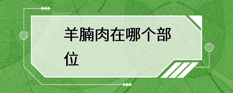 羊腩肉在哪个部位