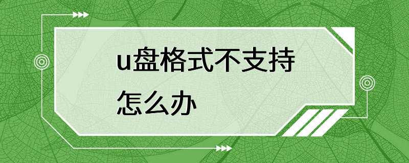 u盘格式不支持怎么办