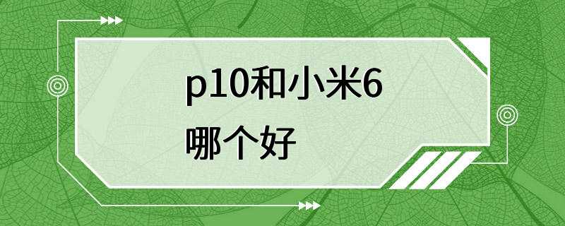 p10和小米6哪个好