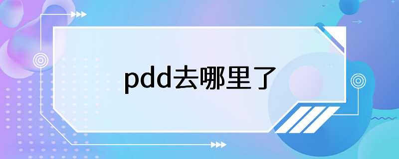 pdd去哪里了