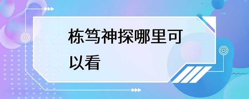 栋笃神探哪里可以看