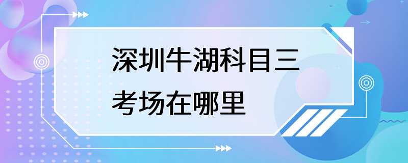 深圳牛湖科目三考场在哪里