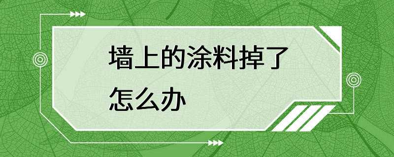 墙上的涂料掉了怎么办