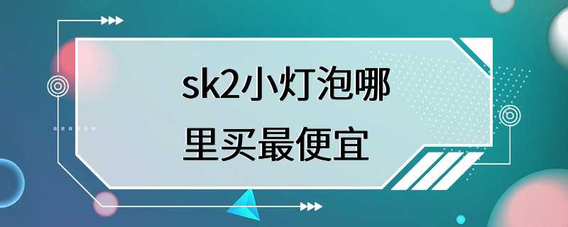 sk2小灯泡哪里买最便宜