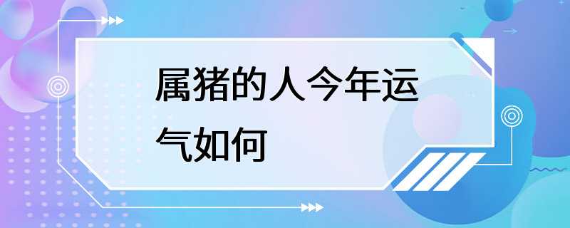 属猪的人今年运气如何