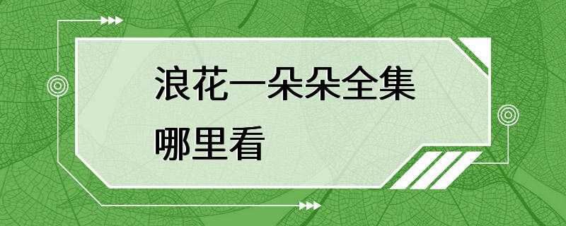 浪花一朵朵全集哪里看