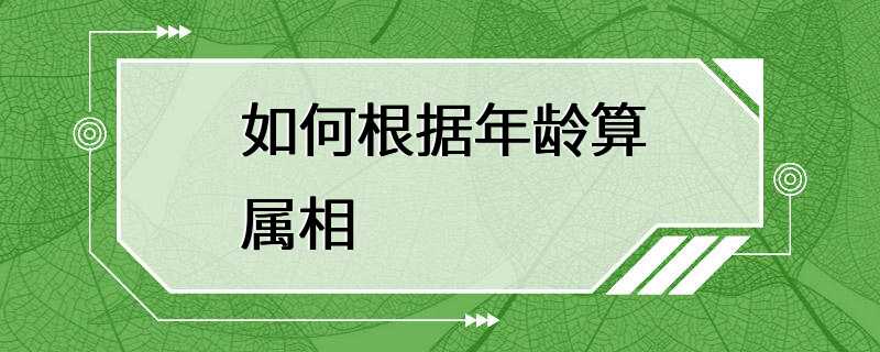 如何根据年龄算属相