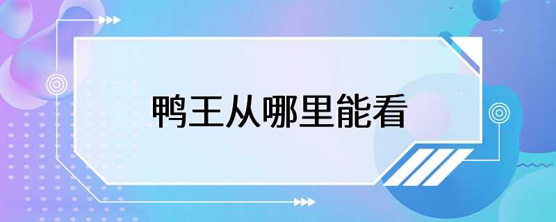 鸭王从哪里能看