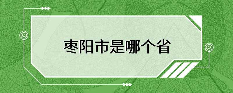 枣阳市是哪个省