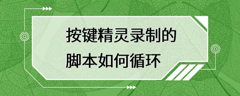 按键精灵录制的脚本如何循环