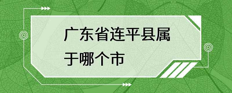 广东省连平县属于哪个市