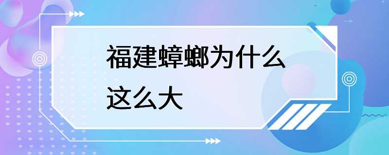 福建蟑螂为什么这么大