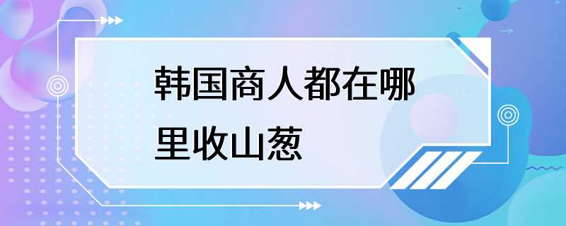 韩国商人都在哪里收山葱