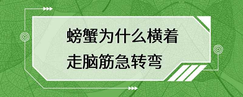 螃蟹为什么横着走脑筋急转弯