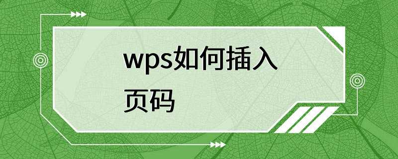 wps如何插入页码