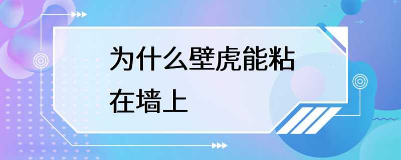 为什么壁虎能粘在墙上