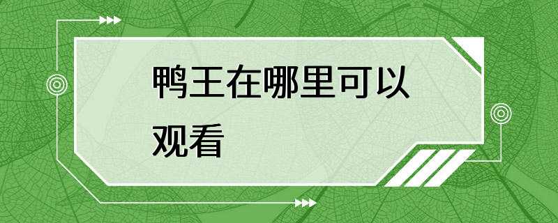 鸭王在哪里可以观看