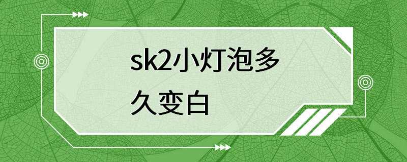 sk2小灯泡多久变白