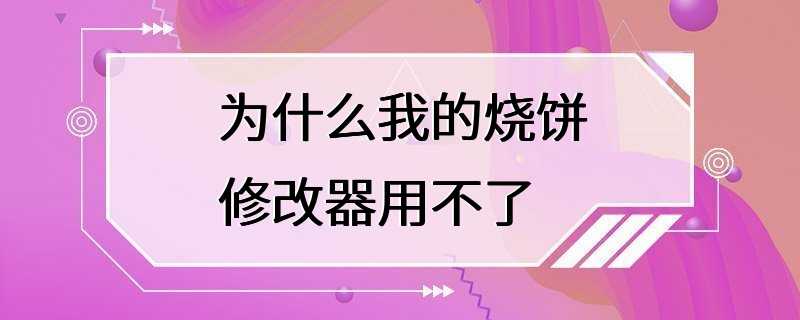 为什么我的烧饼修改器用不了