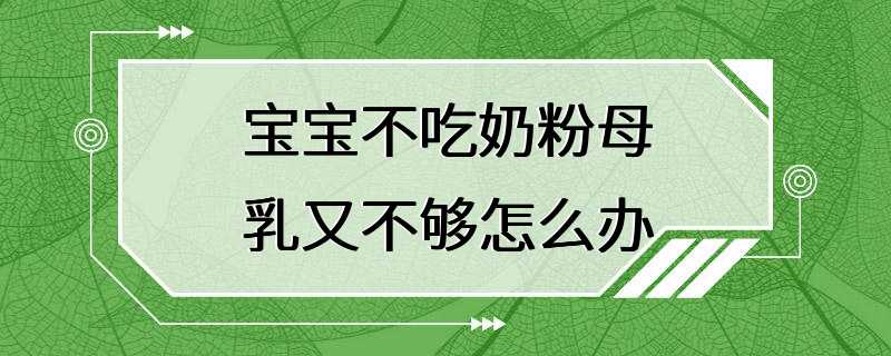 宝宝不吃奶粉母乳又不够怎么办