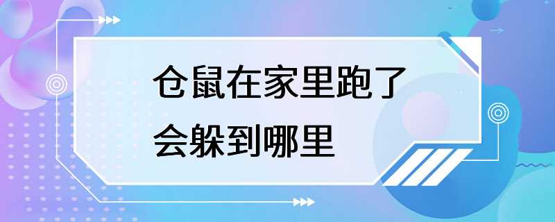 仓鼠在家里跑了会躲到哪里